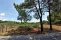 Land  Artola, Spain