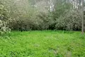 Haus 81 m² Biarozki, Belarus