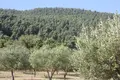 Land 1 room  Municipality of Sithonia, Greece