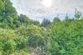 Земельные участки 2 000 м² Radici, Хорватия