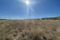 Atterrir 7 860 m² Jumilla, Espagne