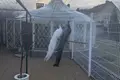 Дом 224 м² Тарасово, Беларусь