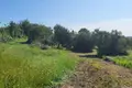 Land  Kastelir, Croatia
