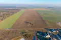 Atterrir 1 355 m² Kazmierz, Pologne