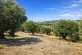 Parcelas 6 250 m² Kassandrino, Grecia