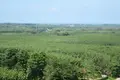 Parcelas  Thalang, Tailandia