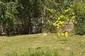 Haus 79 m² Klinocki sielski Saviet, Belarus