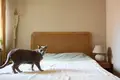Wohnung 3 zimmer 73 m² Krakau, Polen