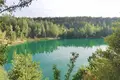 Mieszkanie 3 pokoi 65 m² Roś, Białoruś
