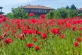 Haus 5 zimmer 270 m² Tsarichino, Bulgarien