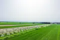 Apartment 874 m² Konarskie, Poland