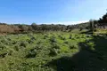 Land 1 room  Saoulatika, Greece