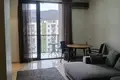 1 bedroom rent in park hill saburtalo