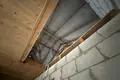 Ferienhaus 160 m² Orscha, Belarus