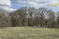 Земельные участки  Демидовичский сельский Совет, Беларусь