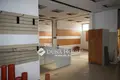 Gewerbefläche 437 m² Kreis Szolnok, Ungarn