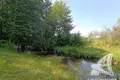 Grundstück  Muchaviecki sielski Saviet, Belarus
