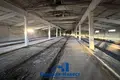 Entrepôt 1 387 m² à Lasanski sielski Saviet, Bélarus
