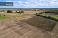 Land  Lankuciai, Lithuania