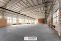 Producción 1 213 m² en Minsk, Belarús