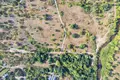 Land 1 room 3 902 m² Otwock, Poland