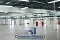 Propiedad comercial 1 308 m² en Zdanovicy, Belarús