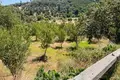 Atterrir 1 chambre  Períthia, Grèce