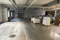 Gewerbefläche 3 740 m² Riga, Lettland