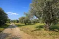 Atterrir 9 205 m² Neos Marmaras, Grèce