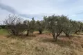 Działki 1 pokój  Paralia Dionisiou, Grecja