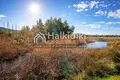 Działki 10 266 m² Pefkochori, Grecja