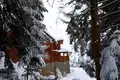 House 300 m² Skhidnytsia, Ukraine