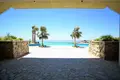 Villa 8 Schlafzimmer 830 m² Mesa Chorio, Zypern