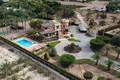 6 bedroom villa 500 m² Elx Elche, Spain