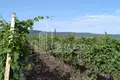 Land 50 000 m² Tbilisi, Georgia