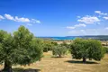 Parcelas 6 250 m² Kassandrino, Grecia