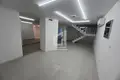 Inmuebles comerciales Poslovni prostor od 294m2, Blok V