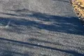 Земельные участки  Даниловград, Черногория