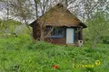 Casa 50 m² Piatryskauski sielski Saviet, Belarús