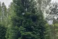 Land  Deguciai, Lithuania