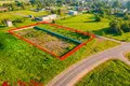 Propiedad comercial 100 m² en Novy Dvor, Belarús