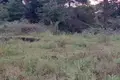Grundstück  Zichisdsiri, Georgien