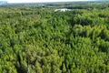 Działki  Petrauskai, Litwa