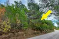 Land 1 736 m² Naklice, Croatia