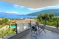 Casa 4 habitaciones 420 m² Denovici, Montenegro