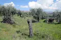 Land 1 room  Maries, Greece