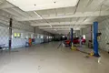 Manufacture 339 m² in Hrodna, Belarus