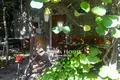 Cottage 3 bathrooms 300 m² in Veszprém, Hungary