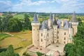 Castillo 23 habitaciones 1 400 m² Tours, Francia