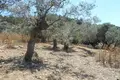 Parcelas  Thassos Municipality, Grecia